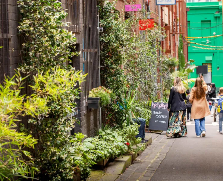 People walking down green Guildford Lane